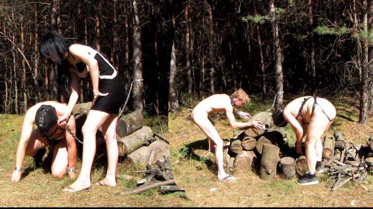 mistress blackdiamoond – managing slave labor in the forest – female domination