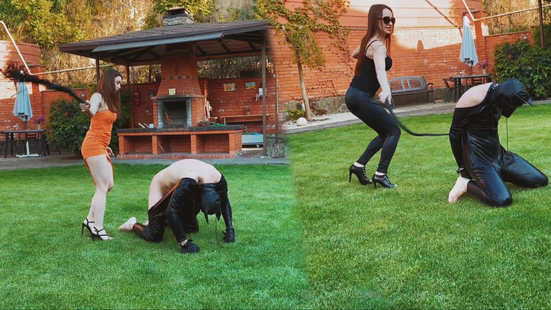 outdoor obedience training fun