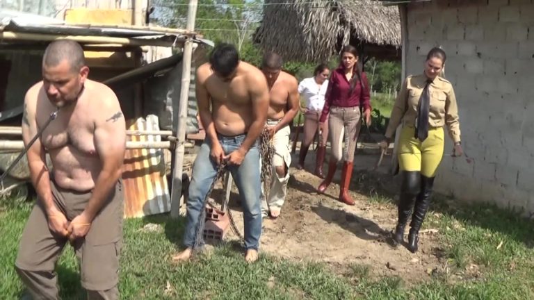 The Slave Auction Of The Farm Of Pain