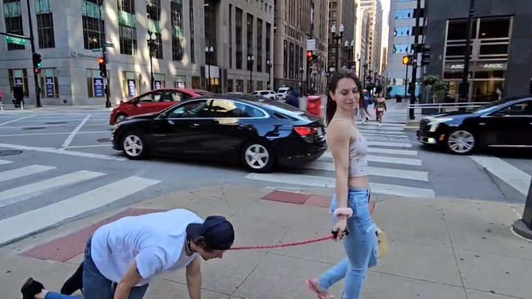 DOG WALKING DOWNTOWN CHICAGO (short clip)