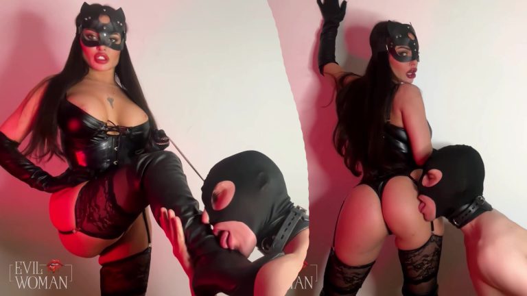 enslaved by catwoman