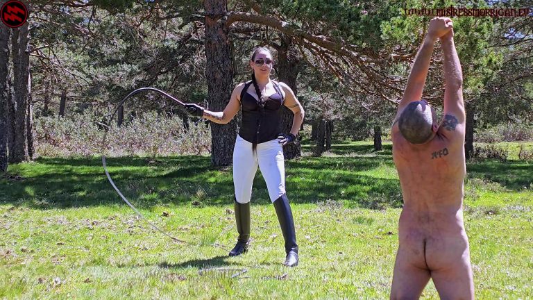 will he survive my brutal bullwhips