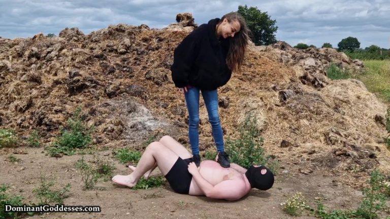 trample picnic