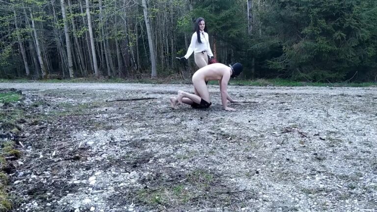 I saddle my horse and ride him